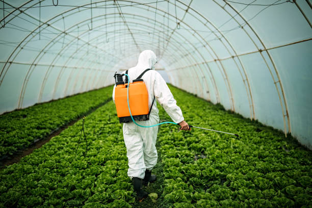 Best Ant Control Services  in Fruitland, ID