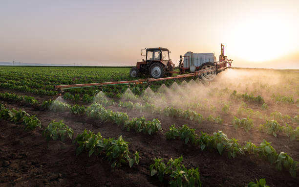 Best Best Pest Control Companies  in Fruitland, ID