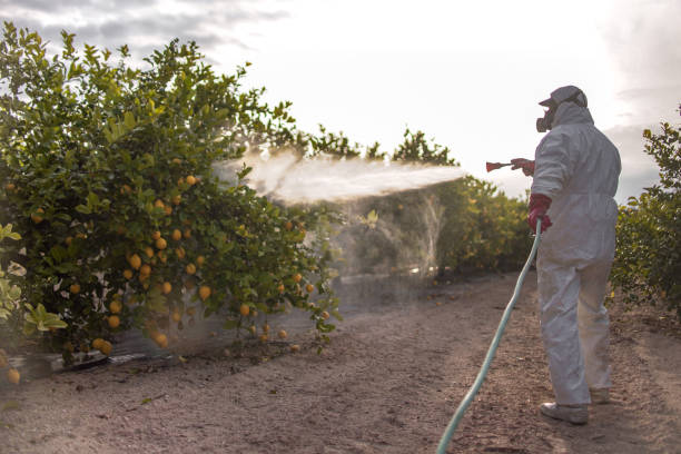 Best Residential Pest Control  in Fruitland, ID