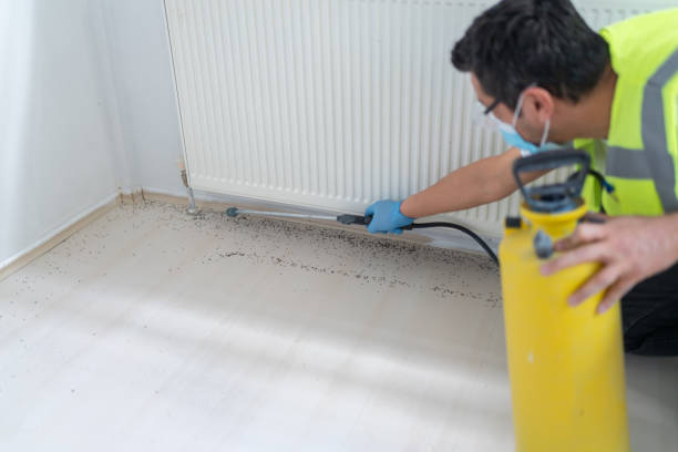 Best Bed Bug Extermination  in Fruitland, ID