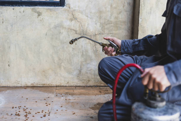 Best Local Pest Control Services  in Fruitland, ID